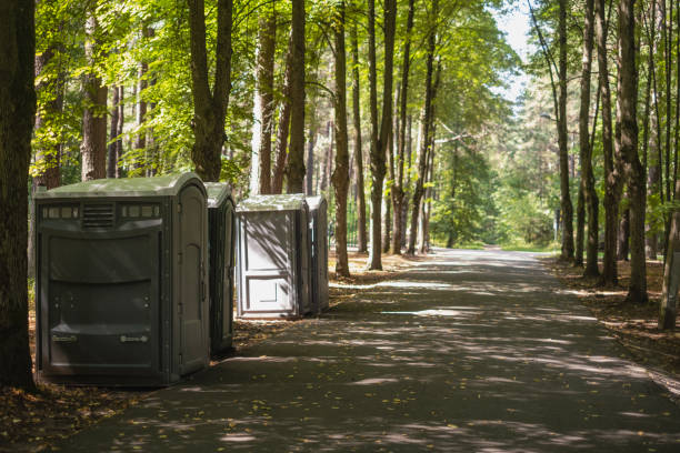 Best Local porta potty services  in Forestville, OH